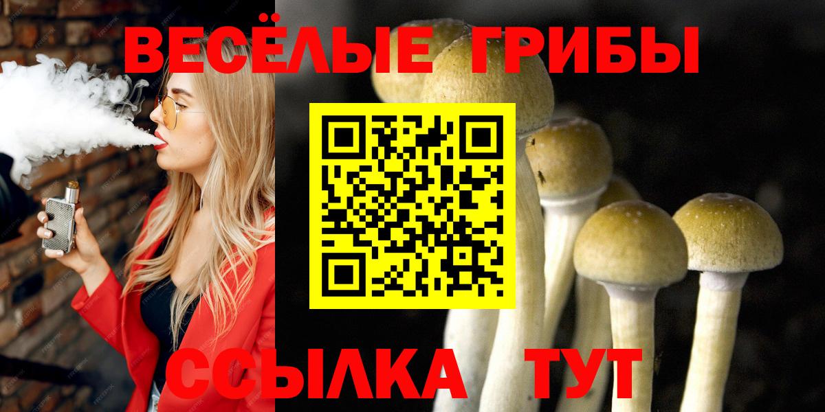 наркотики  Вход с VPN  Псилоцибиновые грибы мухоморы  Сосновый Бор  Псилоцибиновые грибы MAGIC MUSHROOMS 