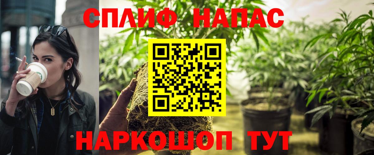 Шишки марихуана гибрид Сосновый Бор